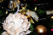 bb60a032d5705e04eb97c752f78ad35c