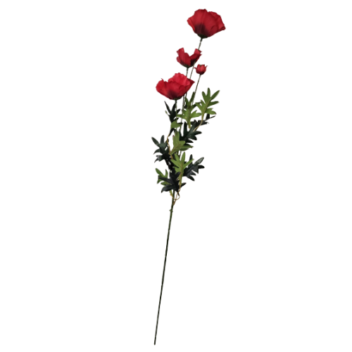 12ae28943bcbb1d7257dec587c49784a
