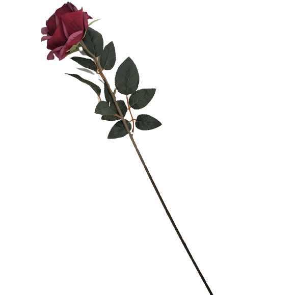 5b057919f73d9fa240f86cf690693da5