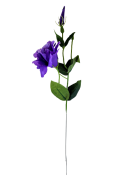 a368f99f45a396712d8164df1fc7a34c