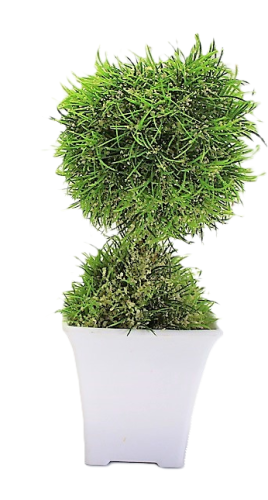 KWIAT SZTUCZNY W BIAŁEJ OSŁONCE 23,5CM