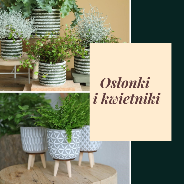 Osłonki i doniczki